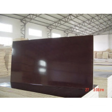 Film Faced Plywood Eucalyptus Core Brown Film WBP Glue